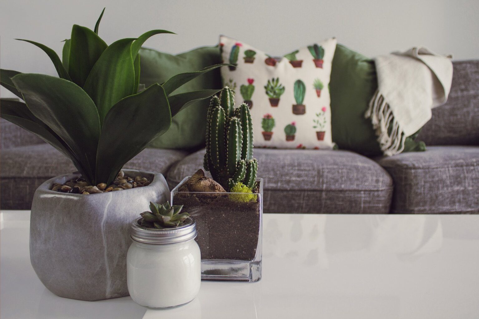 Creating a Cozy and Comfortable Home: Tips and Tricks