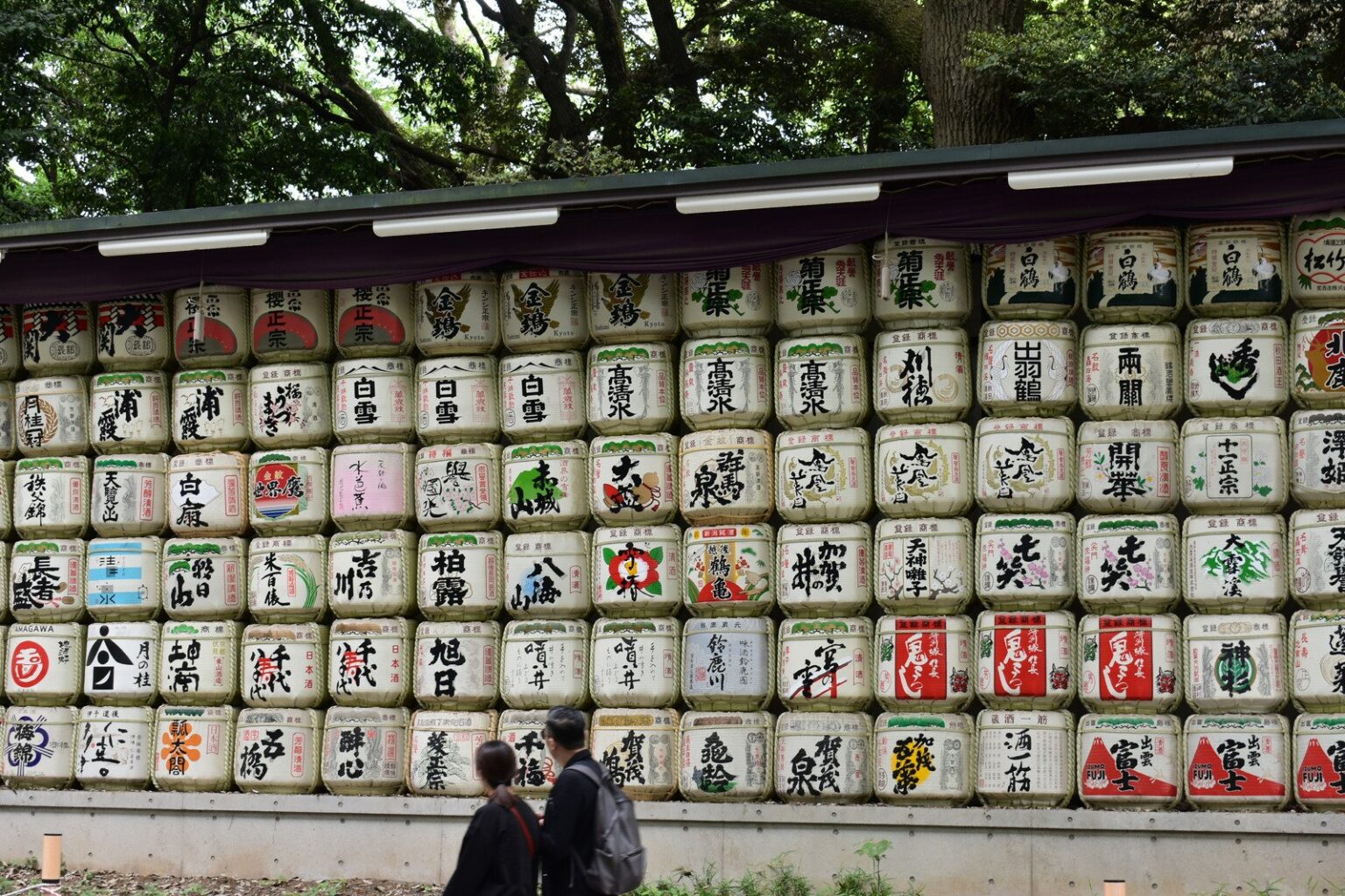 Cultural Connections: Embracing Diversity Through Travel