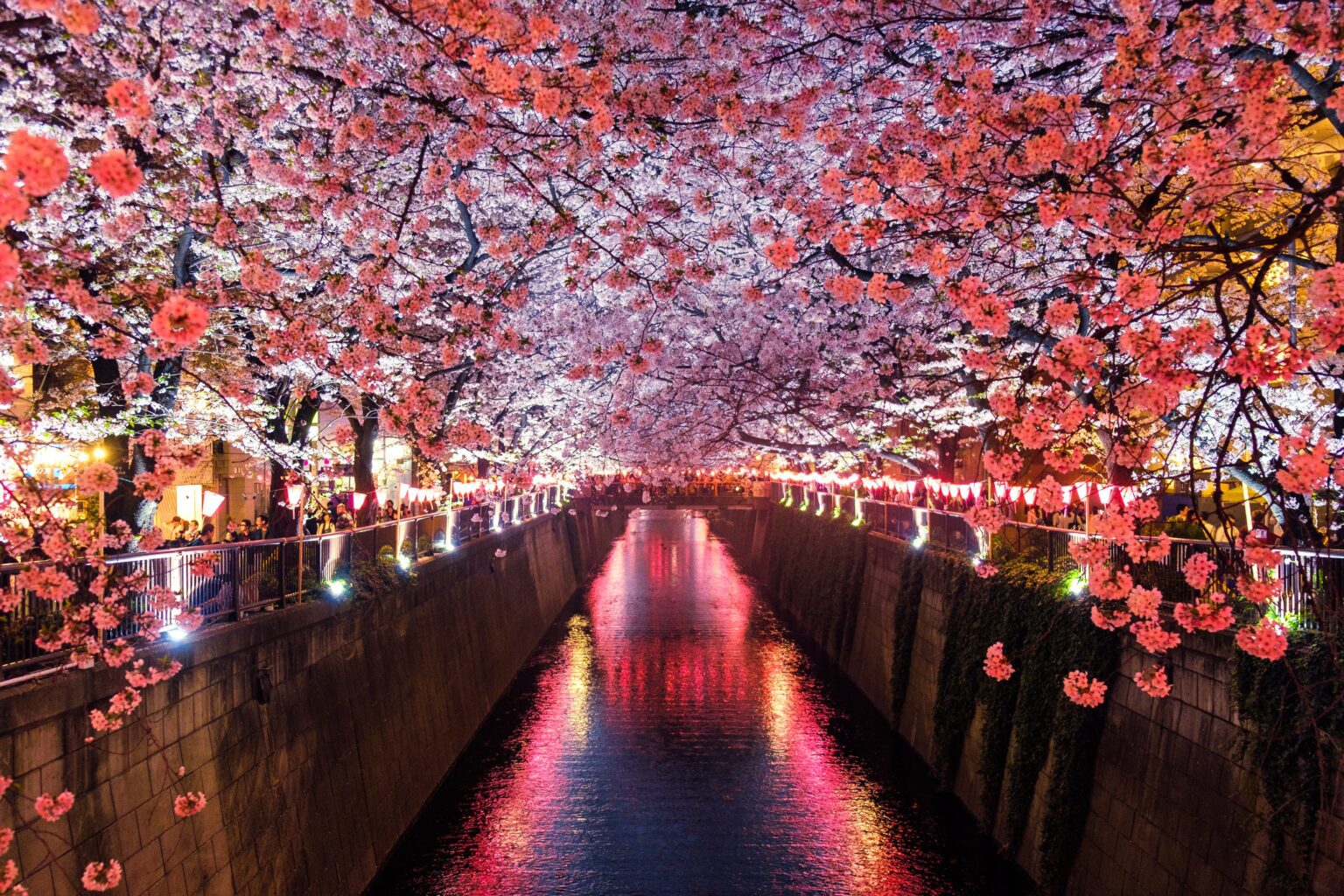 Your Adventurous Spirit: Take a Flight Tour in Japan with Official-KKday