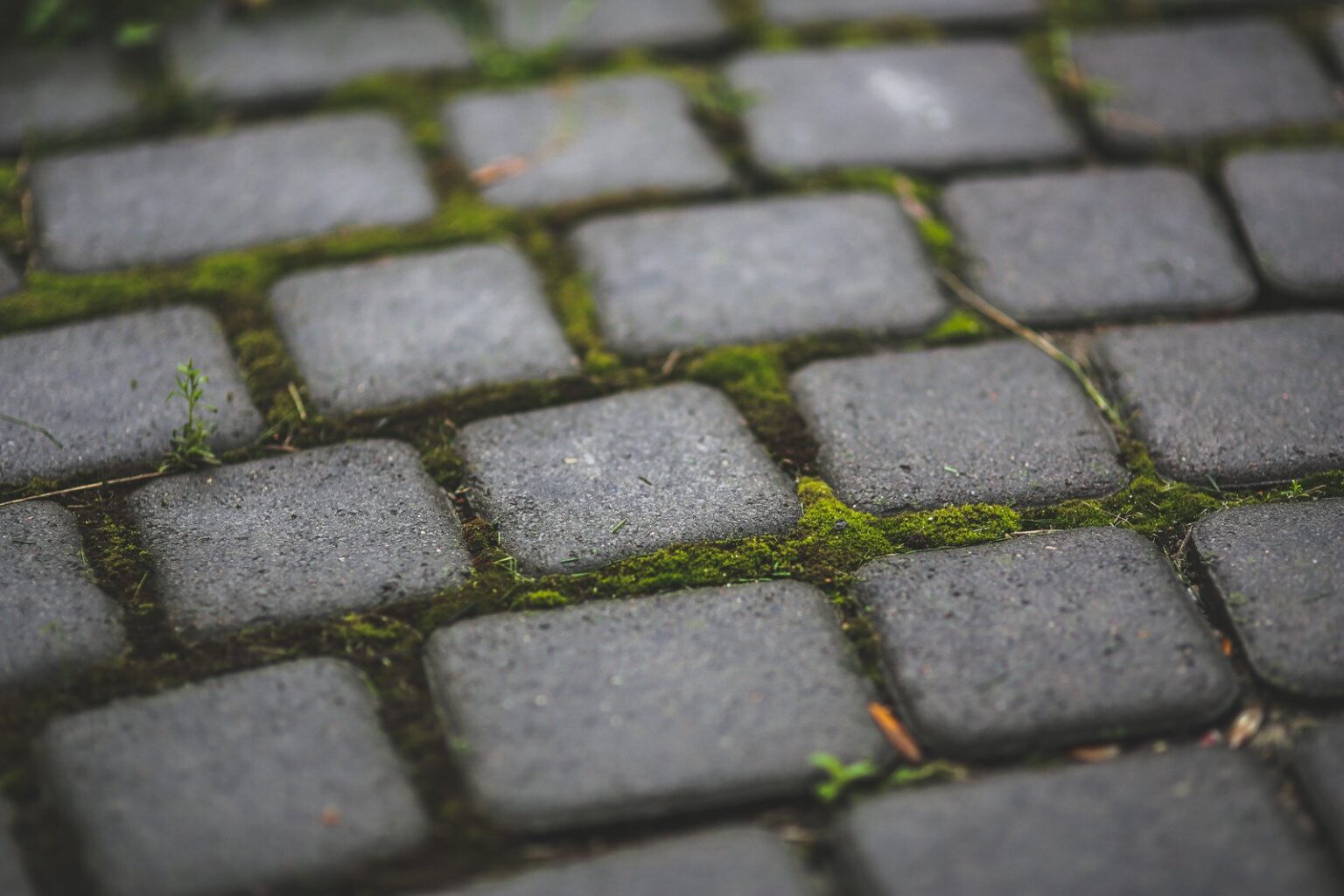 The Best Garden Paving Slabs with Official-TravisPerkins