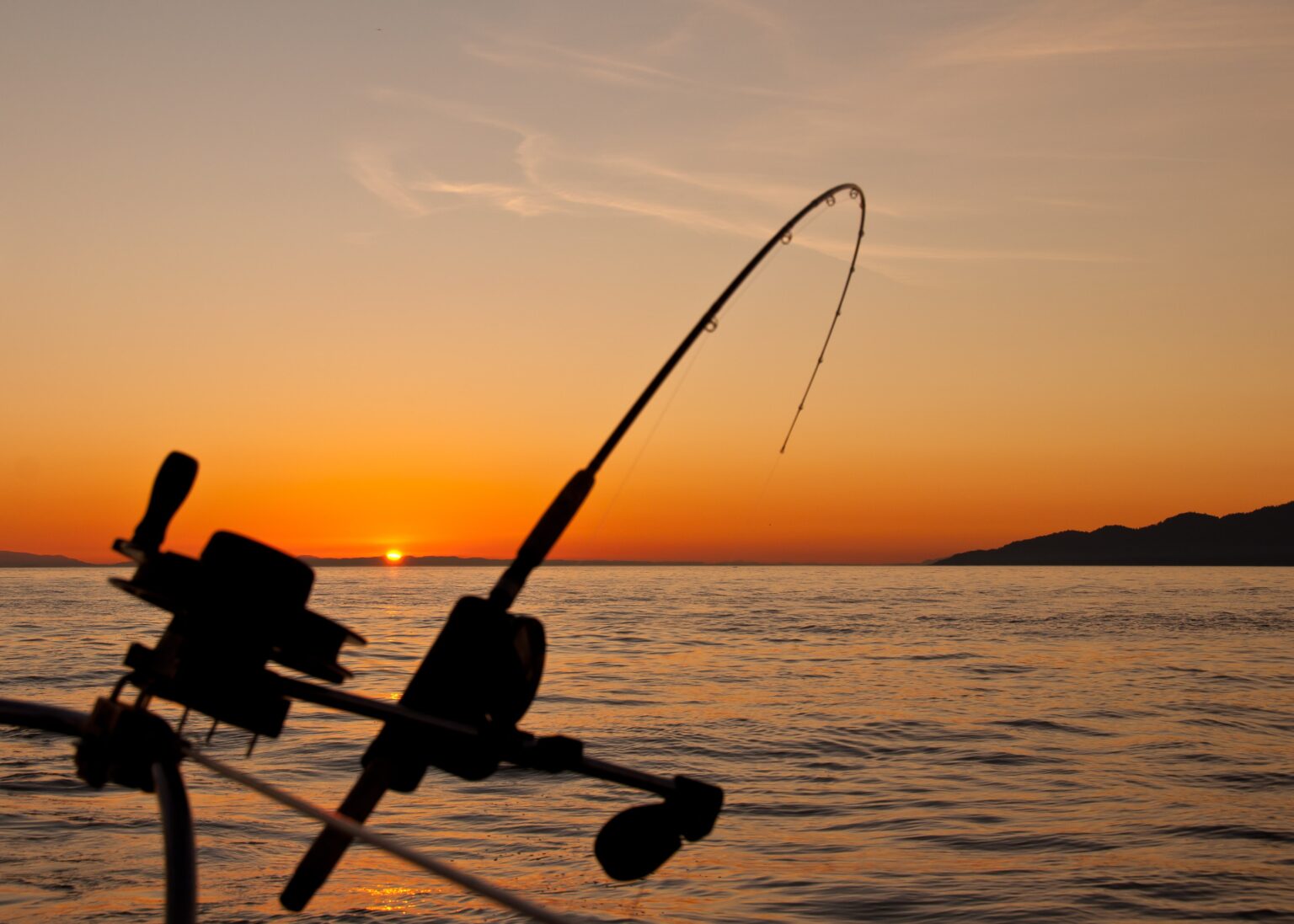 Catch the Perfect Fish with Official-Flagman: A Guide to Shopping for Top-Quality Fishing Equipment